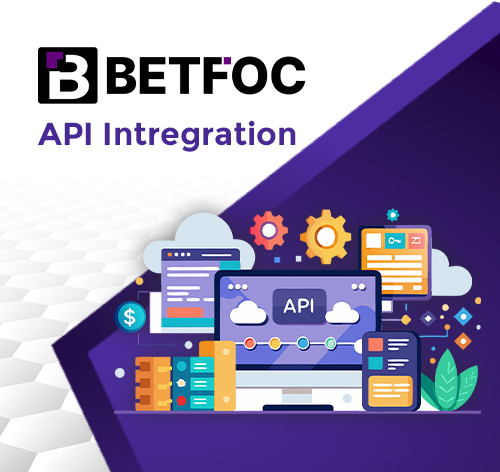 API integeration